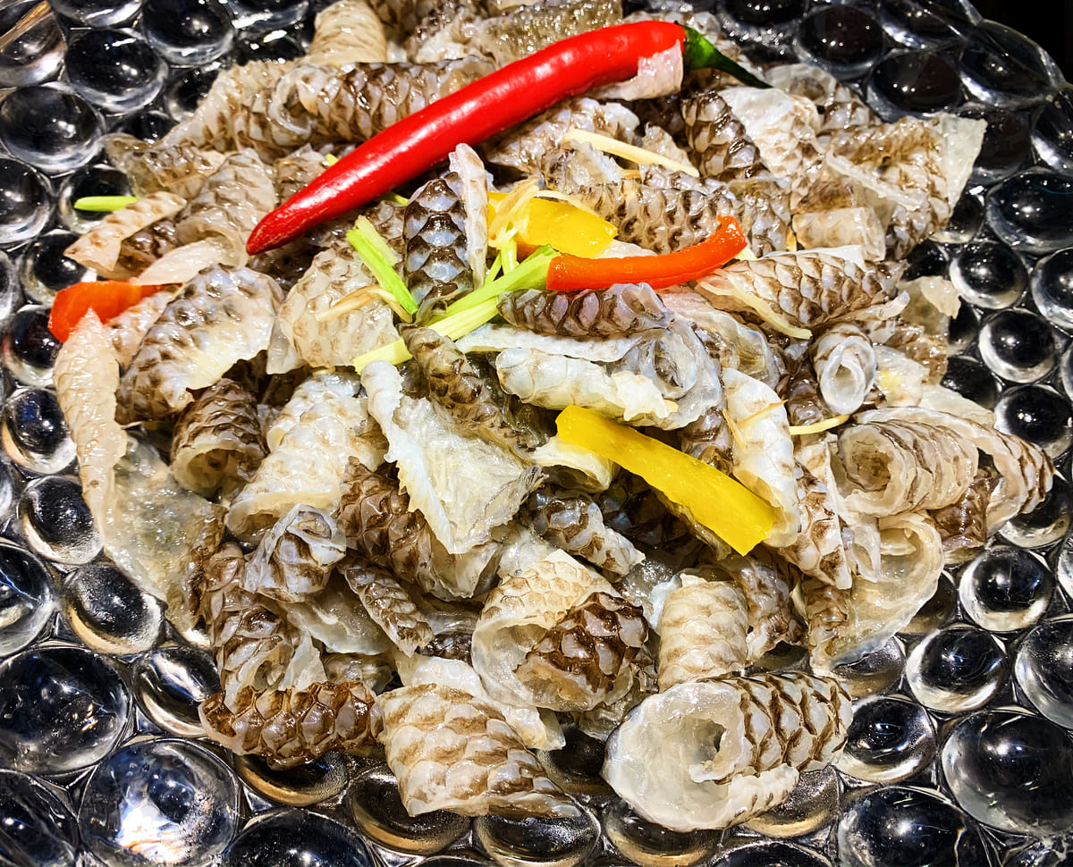 台中吃到飽推薦