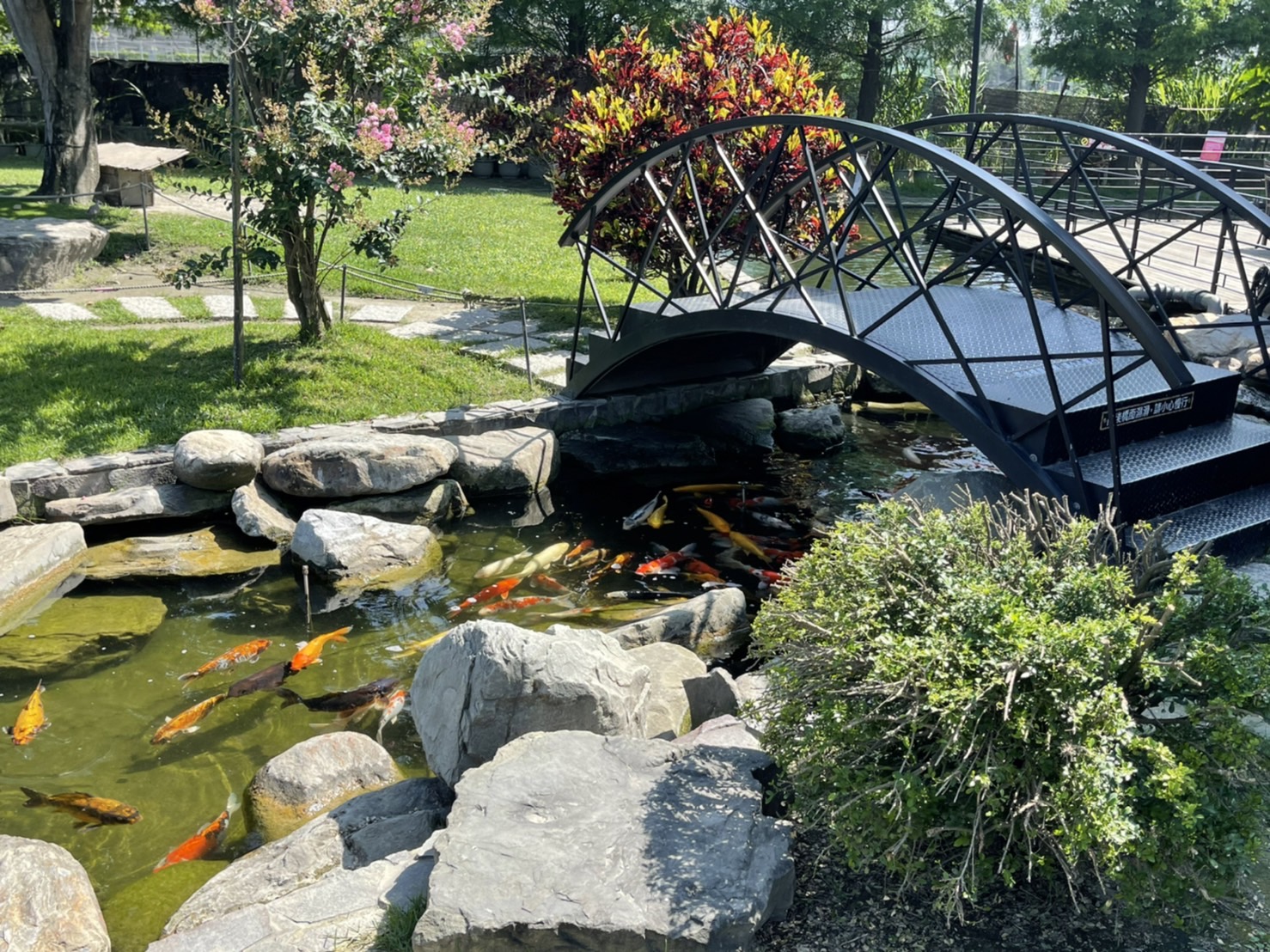 千巧谷牛樂園牧場